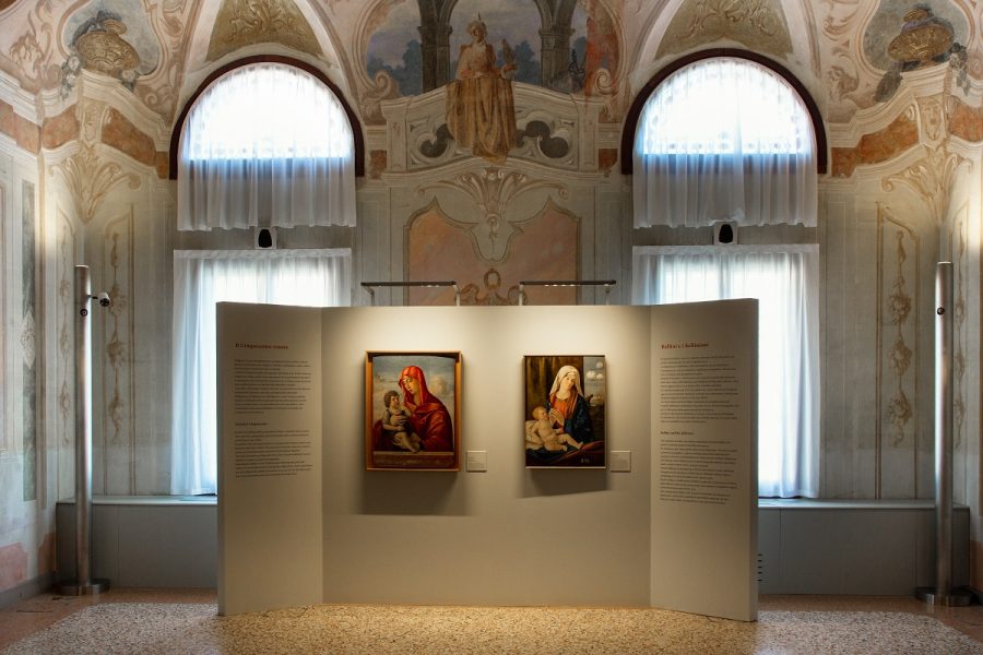 foto piccola scheda rovigo